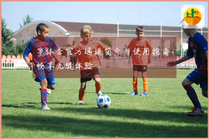 华体会官方通道简介与使用指南,畅享无缝体验